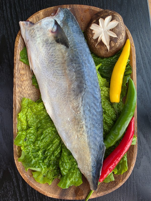 국산 고등어 100~120g (한마리씩 진공포장 10팩) 