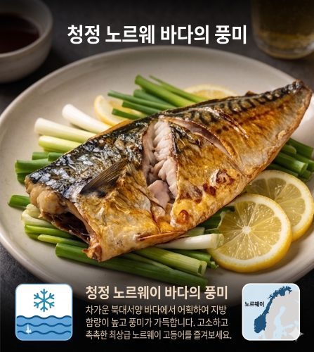노르웨이 고등어  170 ~ 220g  10팩 개별 진공포장 